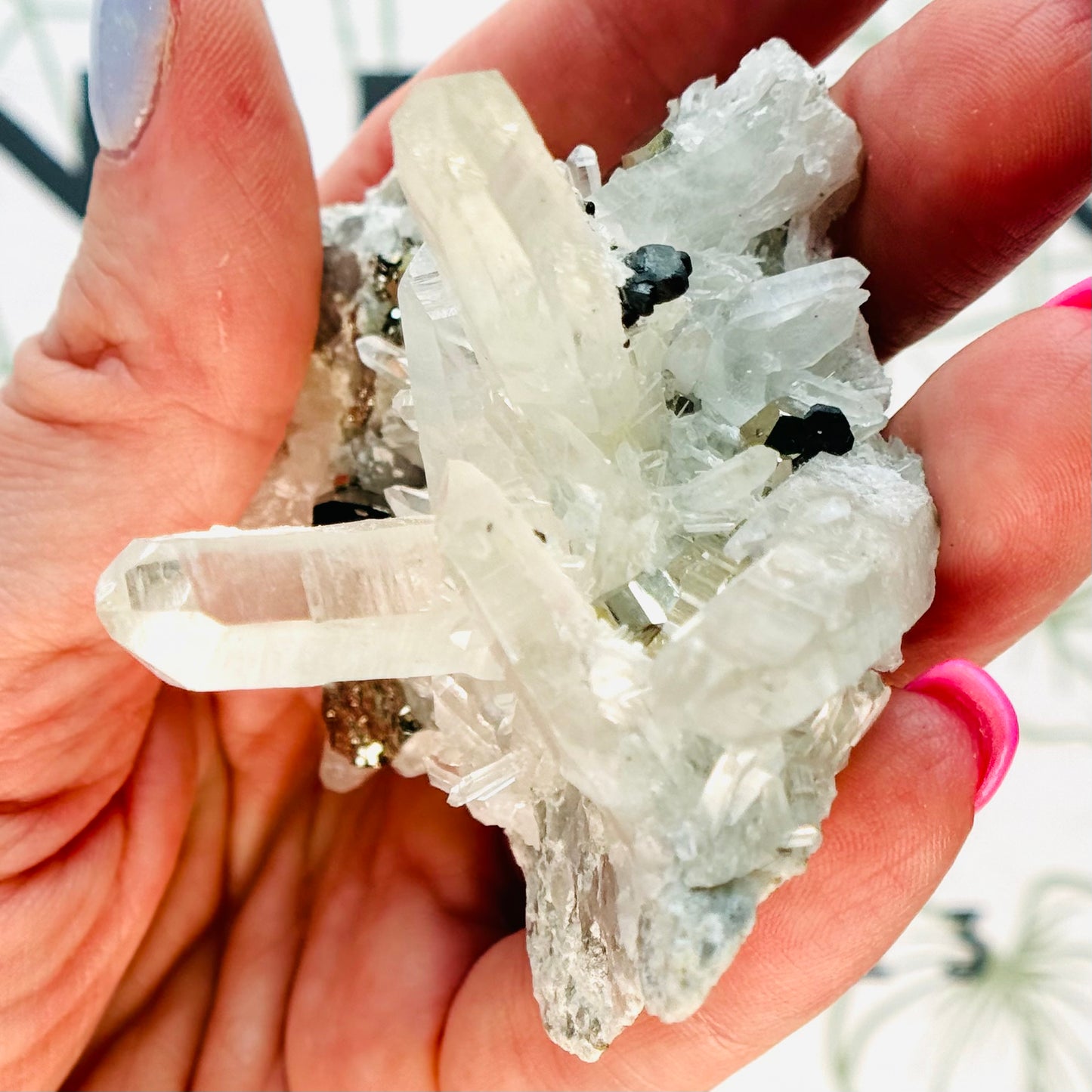 Pyrite in Quartz Specimen