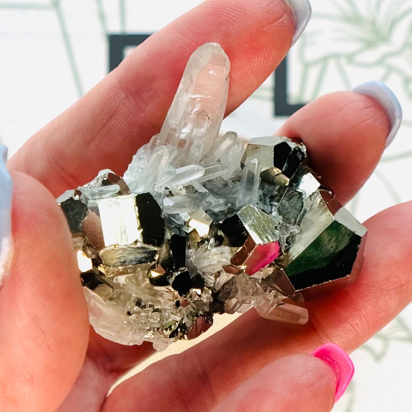 Pyrite in Quartz Specimen