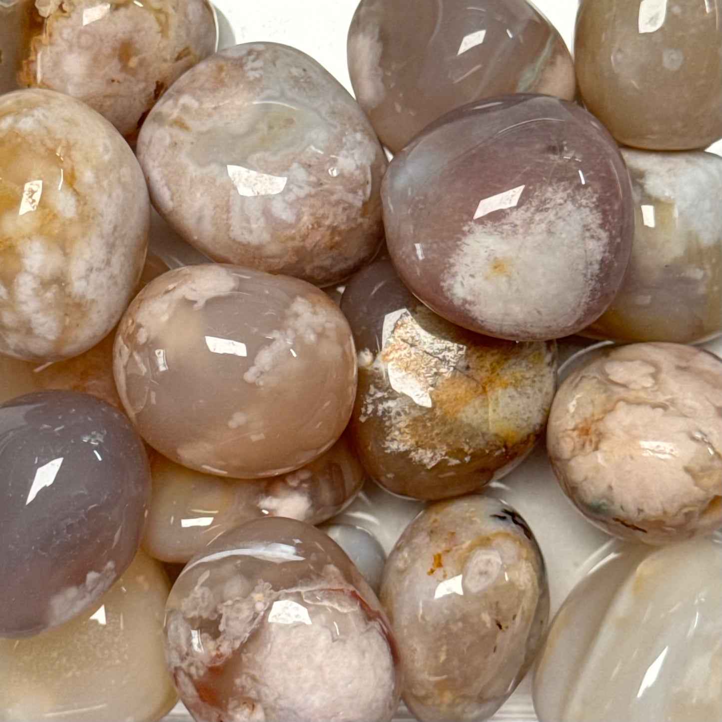 One (1) High Quality Flower Agate Tumble from Madagascar