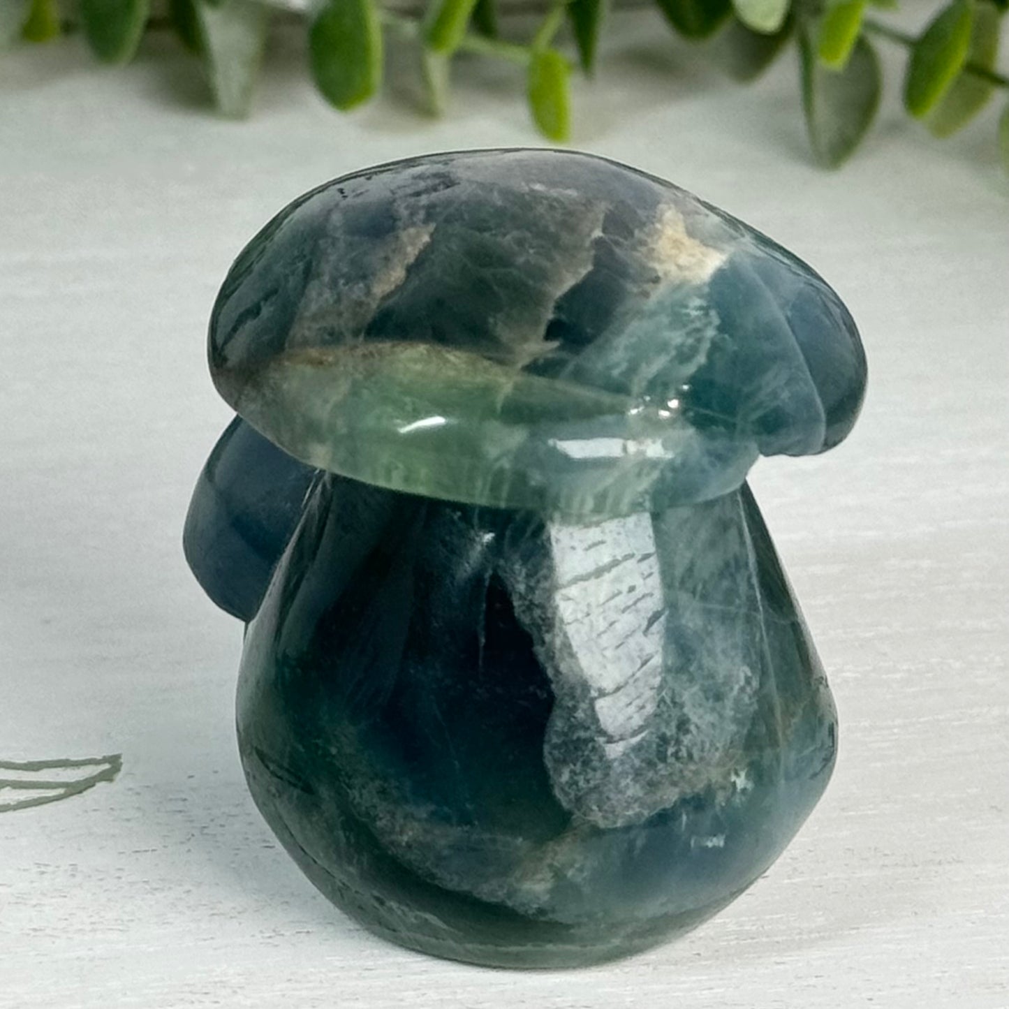 Fluorite Double Mushroom Carving D