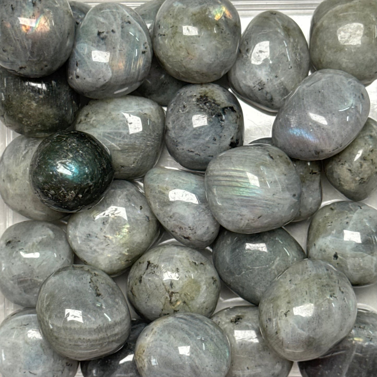 One (1) Common Quality Labradorite Tumble from Madagascar