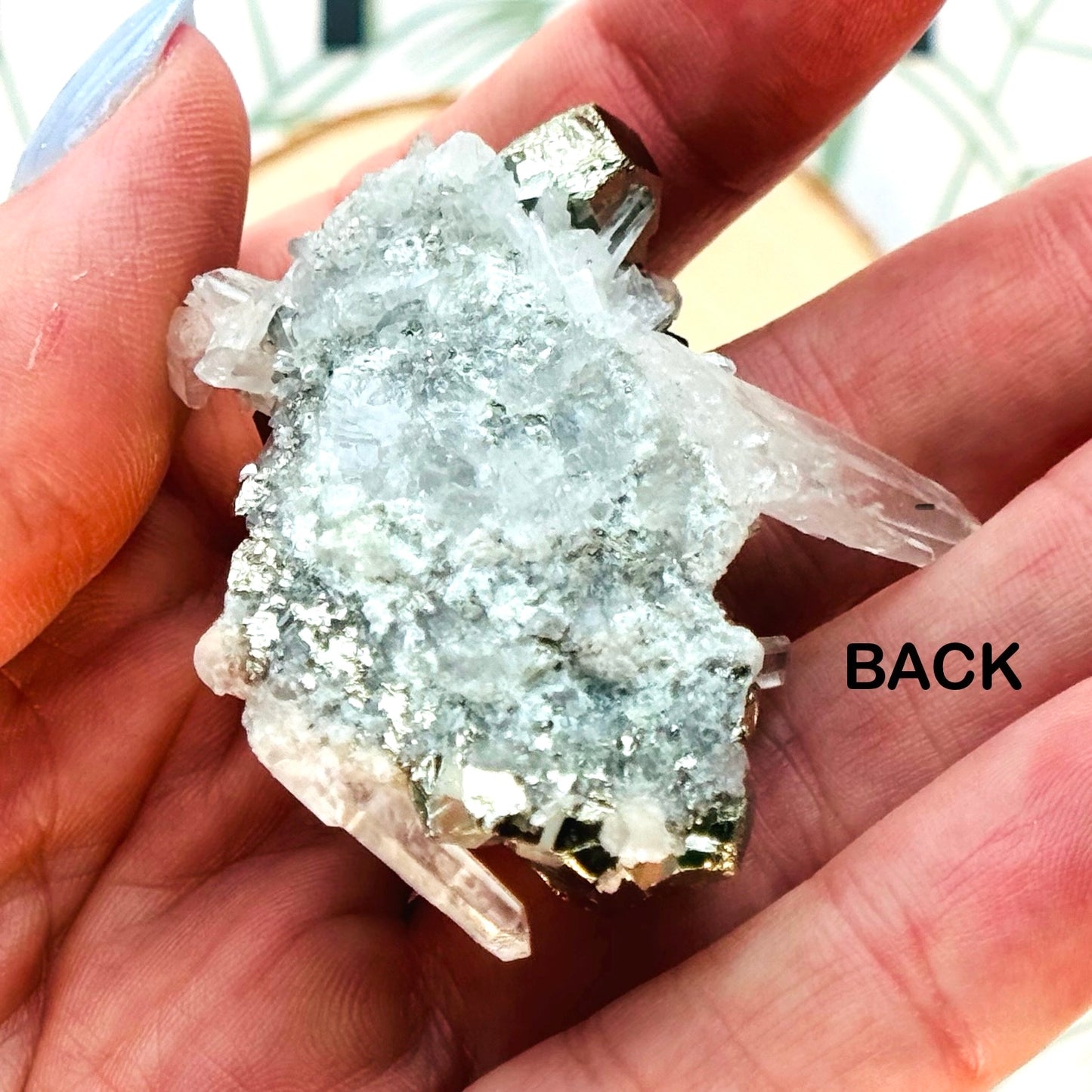 Pyrite in Quartz Specimen