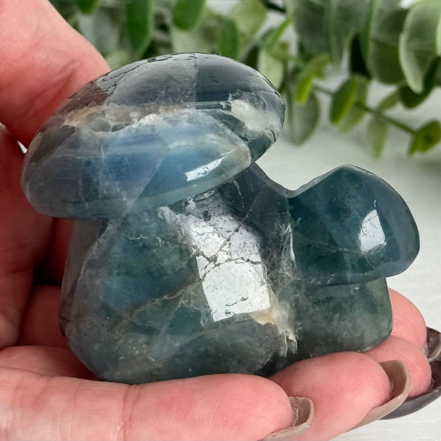 Fluorite Double Mushroom Carving D