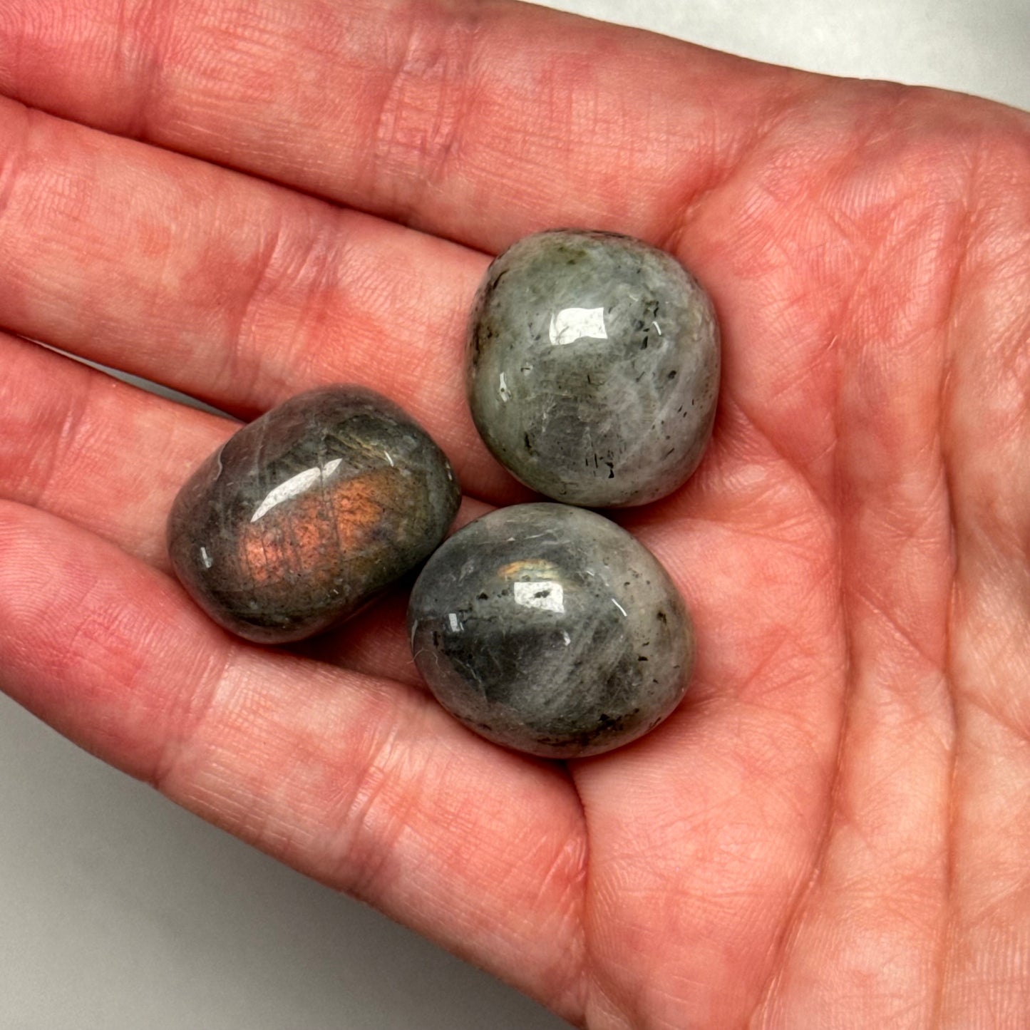 One (1) Common Quality Labradorite Tumble from Madagascar