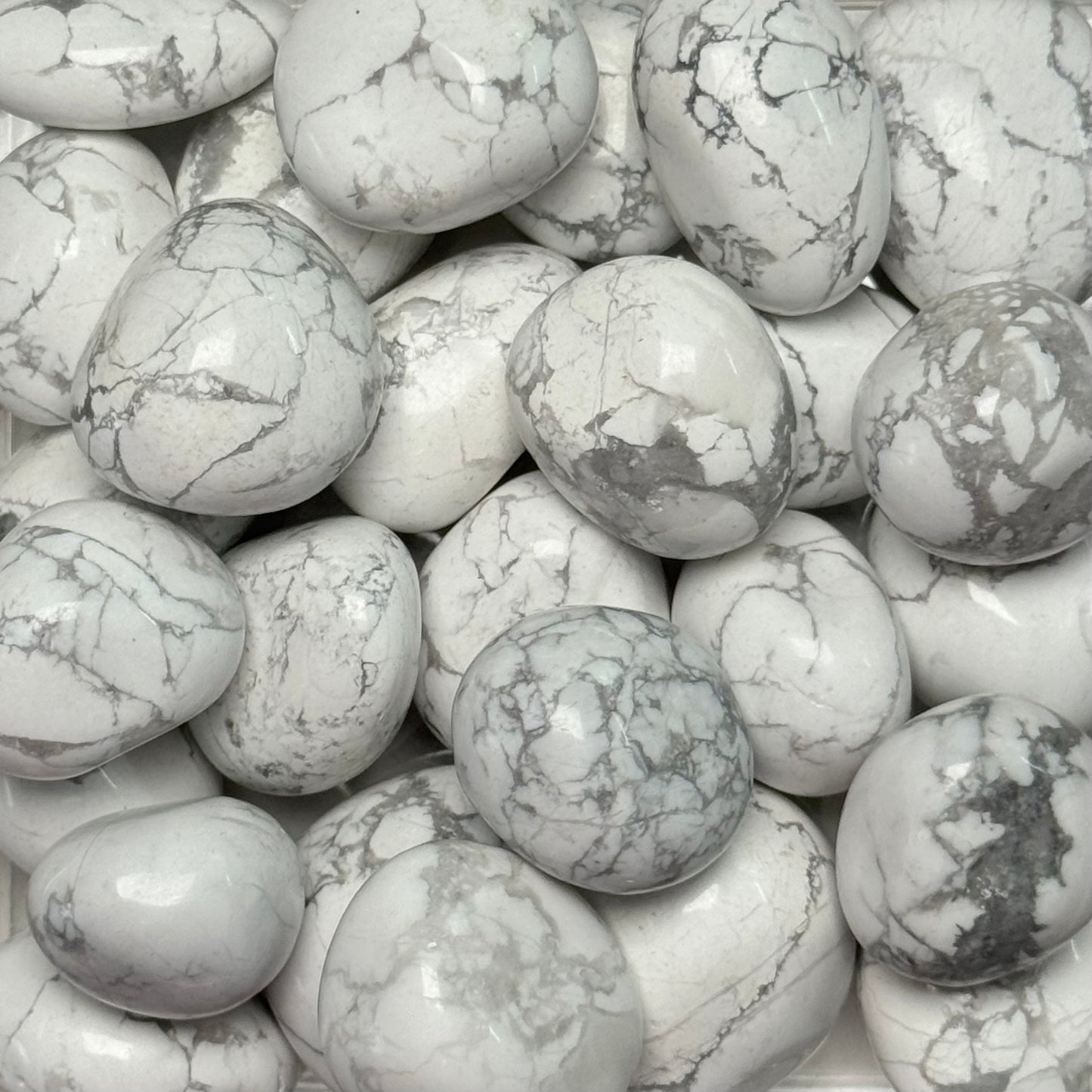One (1) High Quality Howlite Tumble from South Africa