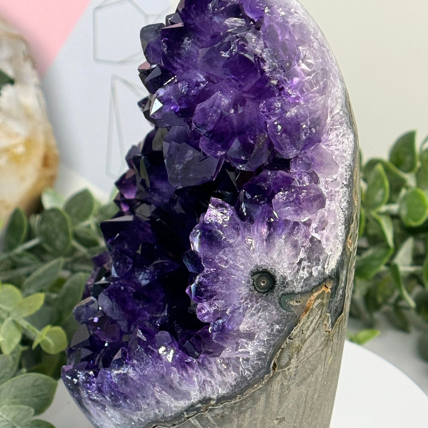 5.11-Inch HIGH QUALITY Amethyst Cluster from Uruguay