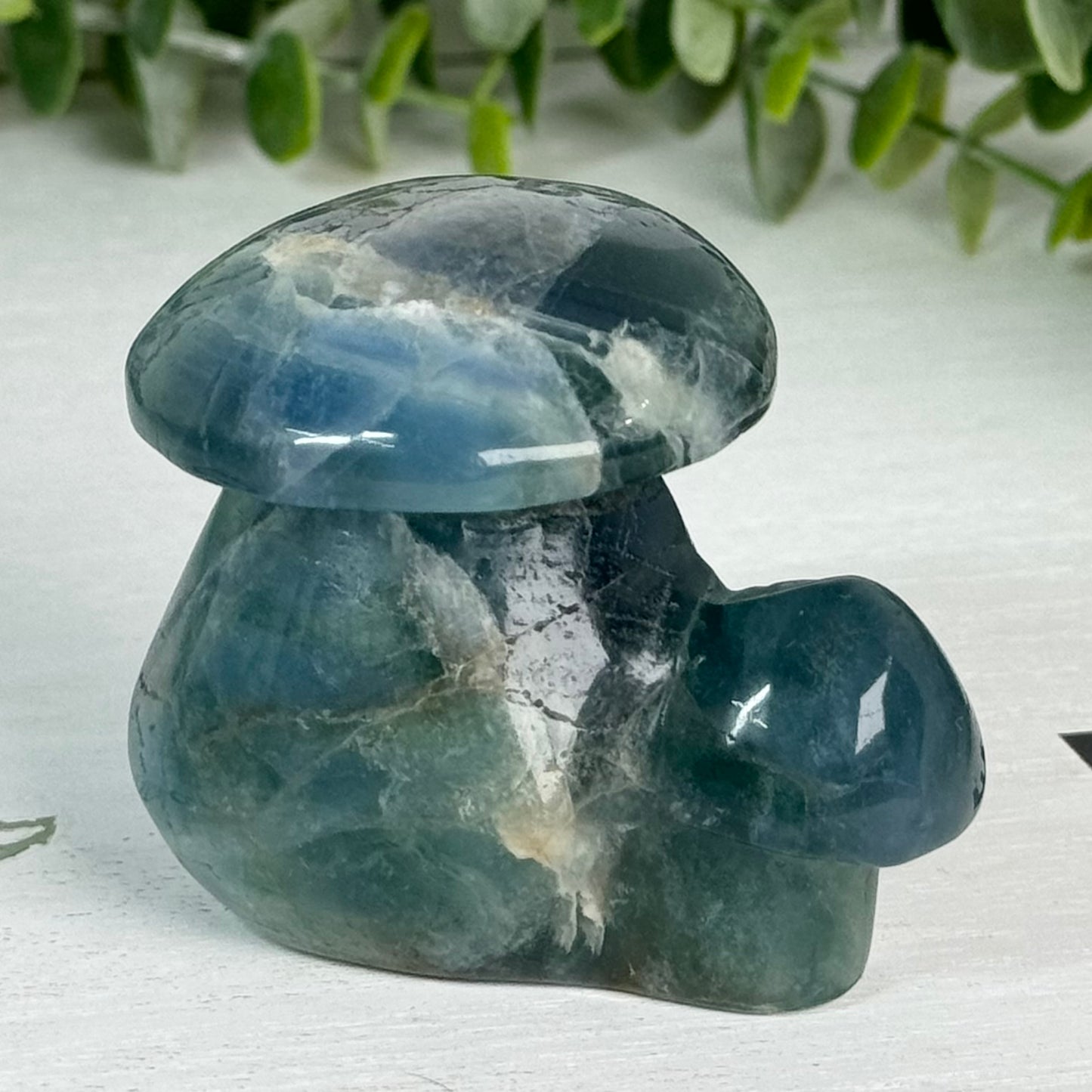 Fluorite Double Mushroom Carving D