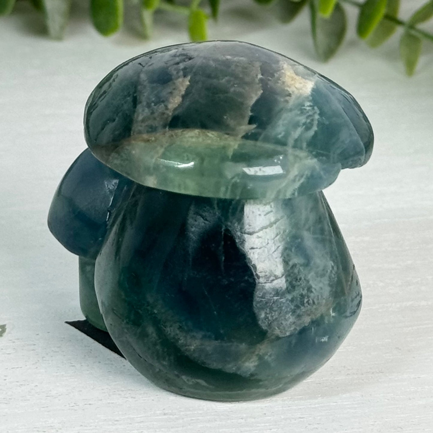 Fluorite Double Mushroom Carving D