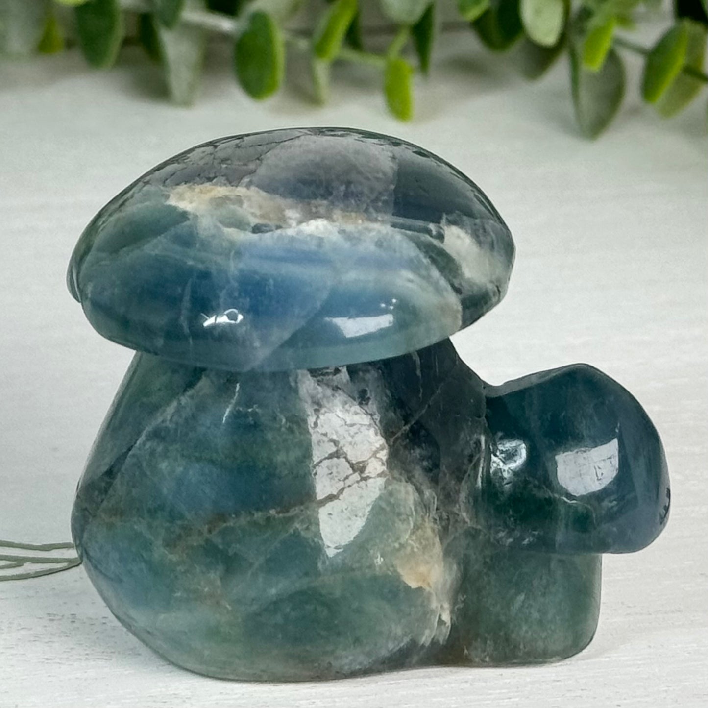 Fluorite Double Mushroom Carving D