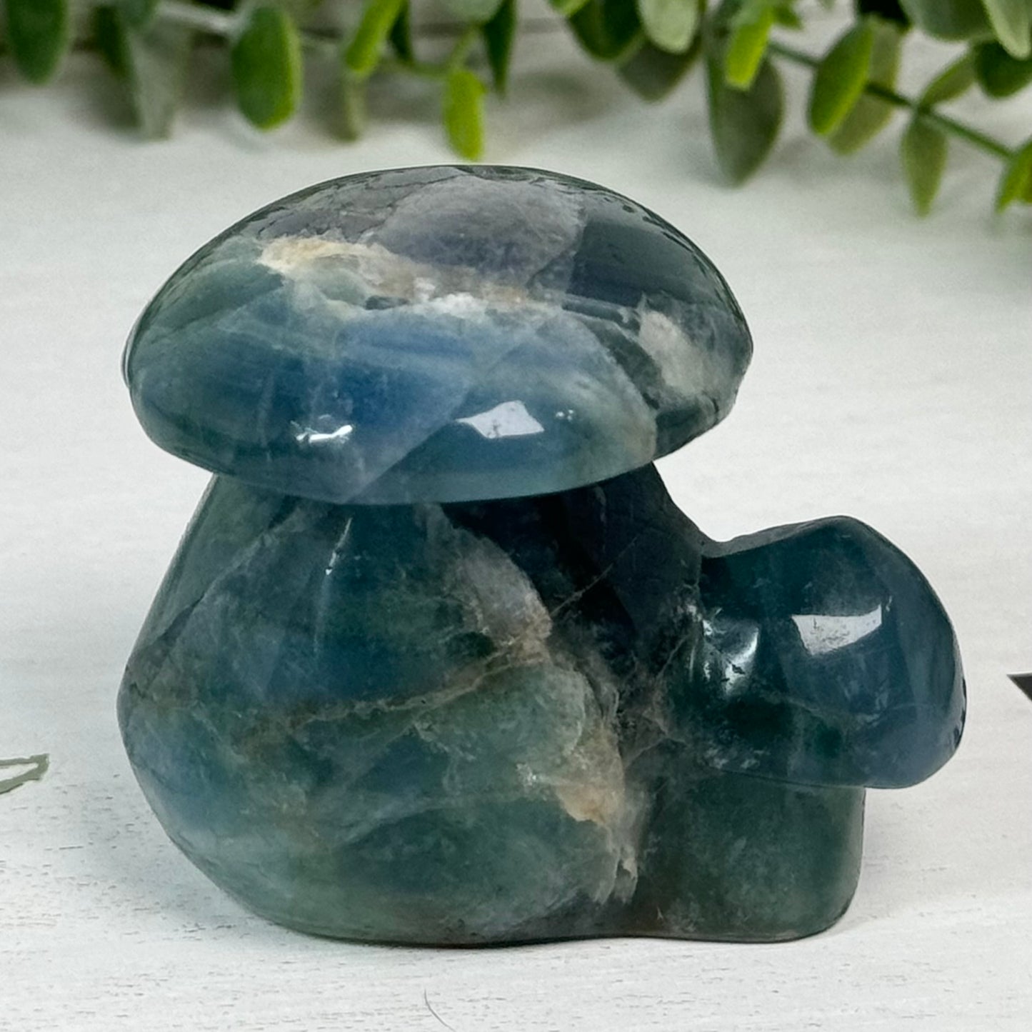 Fluorite Double Mushroom Carving D