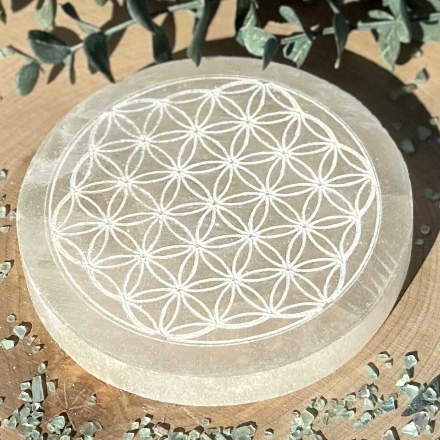 4-Inch Round Selenite Charging Plates from Morocco - Variety