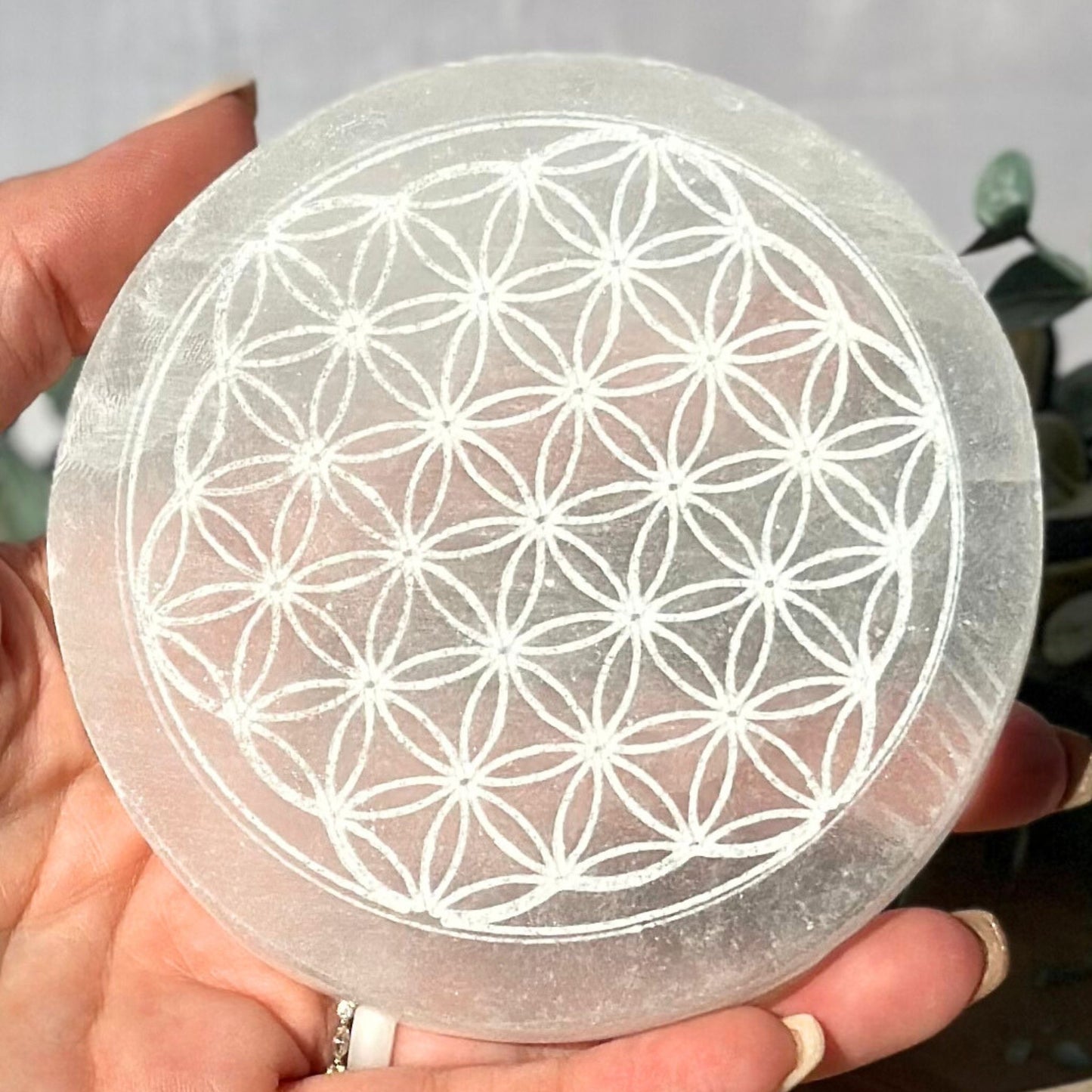 4-Inch Round Selenite Charging Plates from Morocco - Variety