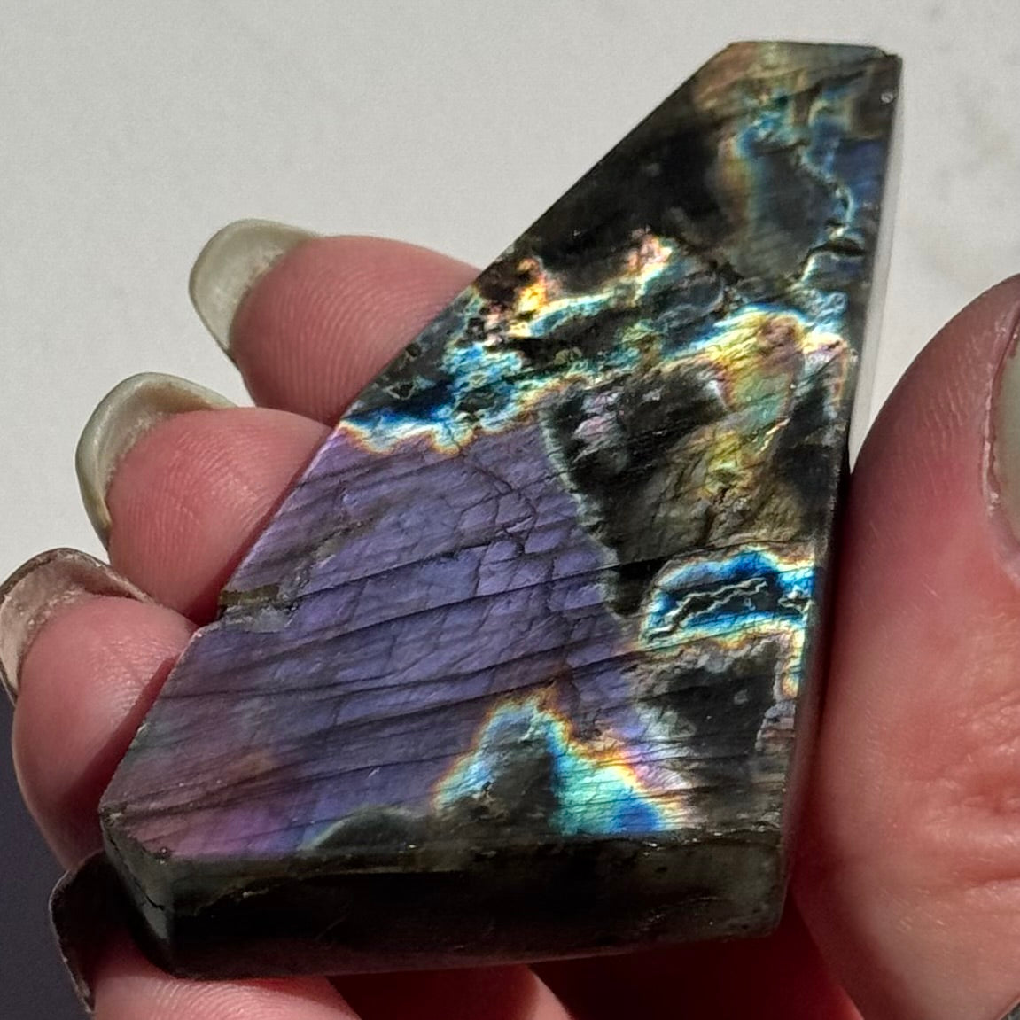Flat Labradorite Freeform | Option B