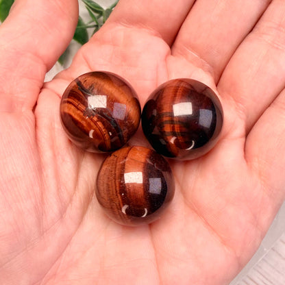 One (1) Red Tiger Eye Mini Sphere | Bull's Eye