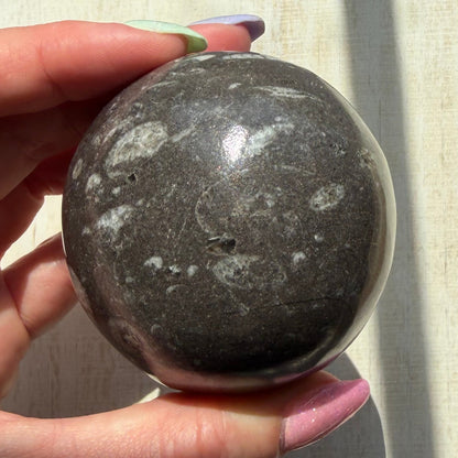 Orthoceras Nautiloid Fossil Sphere - Option A - Moroccan Cephalopod Matrix