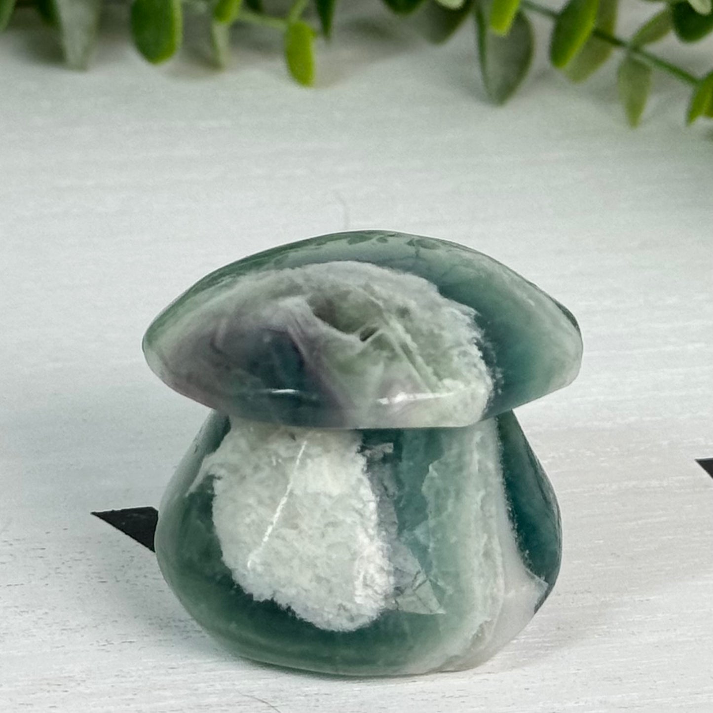 Fluorite Double Mushroom Carving E