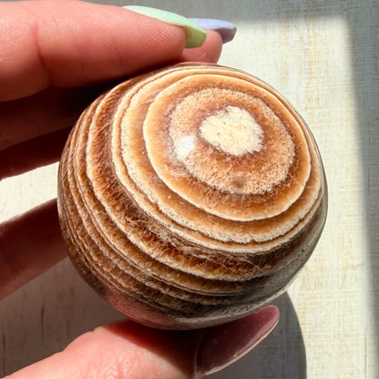 Aragonite Sphere - Brown | Natural Crystal Sphere | Option B