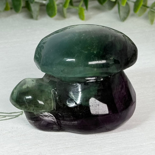 Fluorite Double Mushroom Carving A