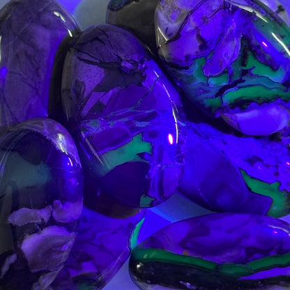 One (1) Volcanic Agate Palm Stone (UV Reactive)