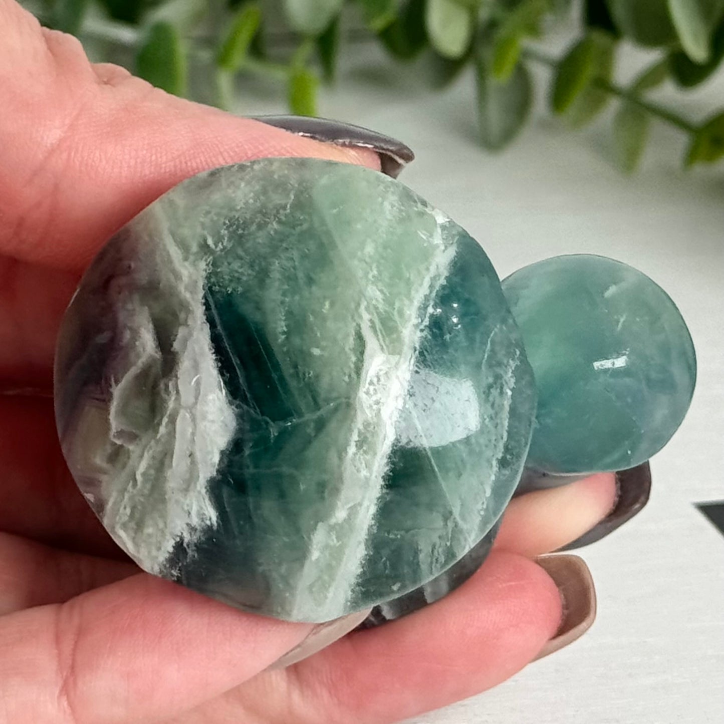 Fluorite Double Mushroom Carving E