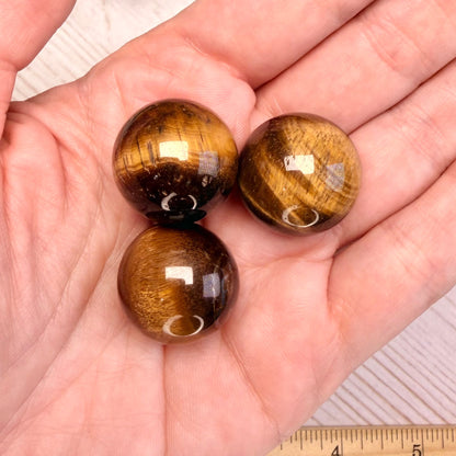 One (1) Golden Tiger Eye Mini Sphere