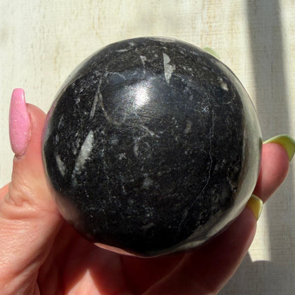 Orthoceras Nautiloid Fossil Sphere - Option B - Moroccan Cephalopod Matrix