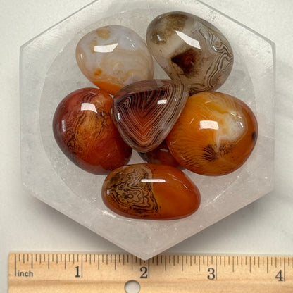 One (1) Exceptional Quality Sardonyx Tumble from India