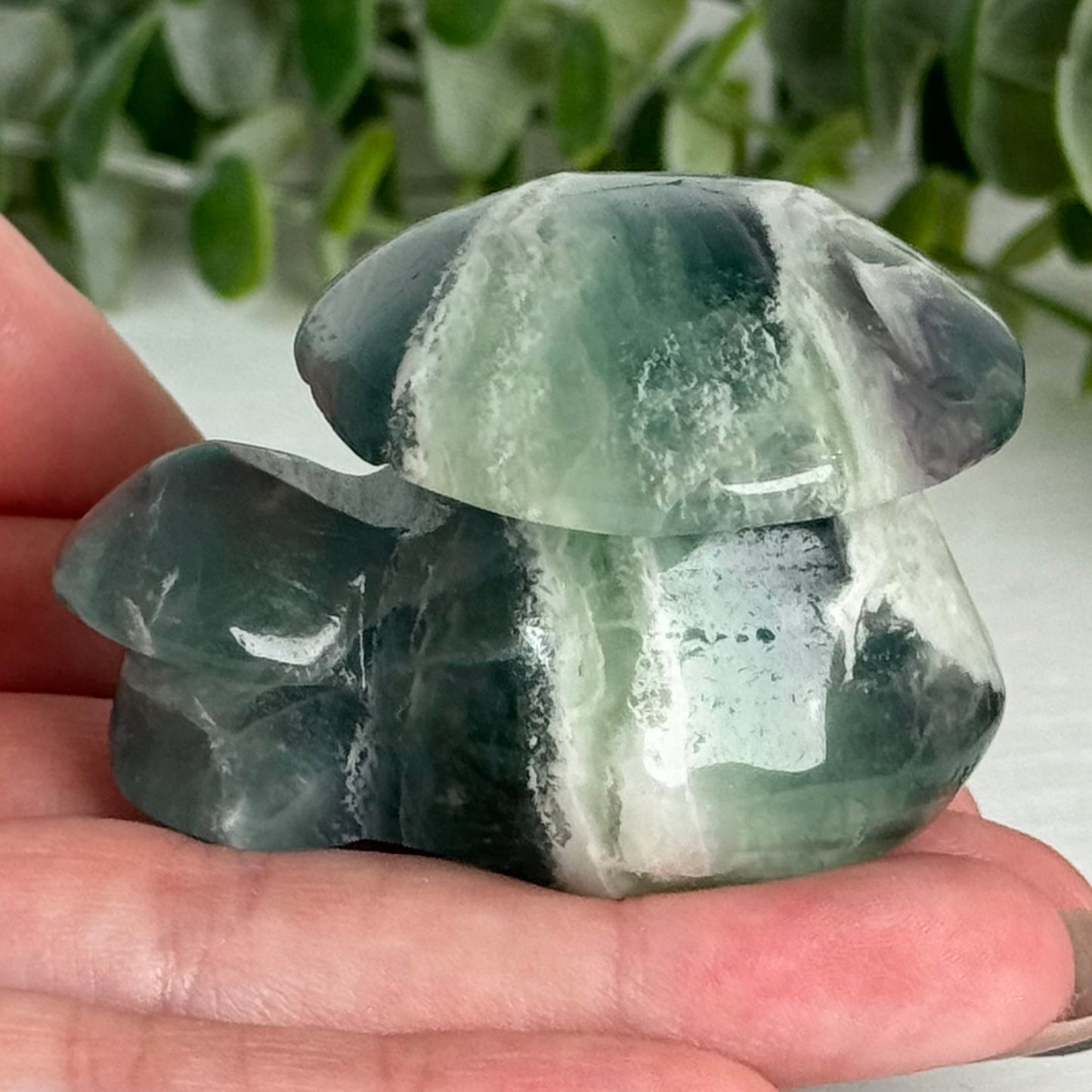 Fluorite Double Mushroom Carving E