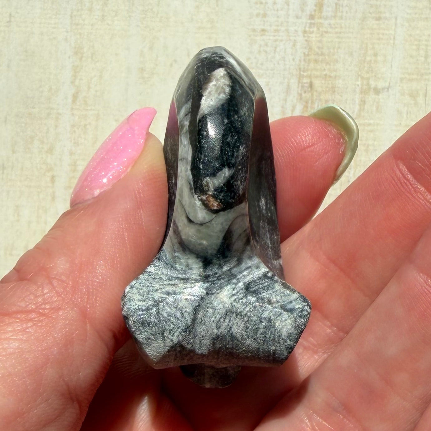 Goniatite Fossil - Polished Moroccan Ammonoid - Option C - 380 Million Year Old Specimen