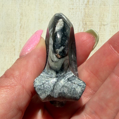 Goniatite Fossil - Polished Moroccan Ammonoid - Option C - 380 Million Year Old Specimen