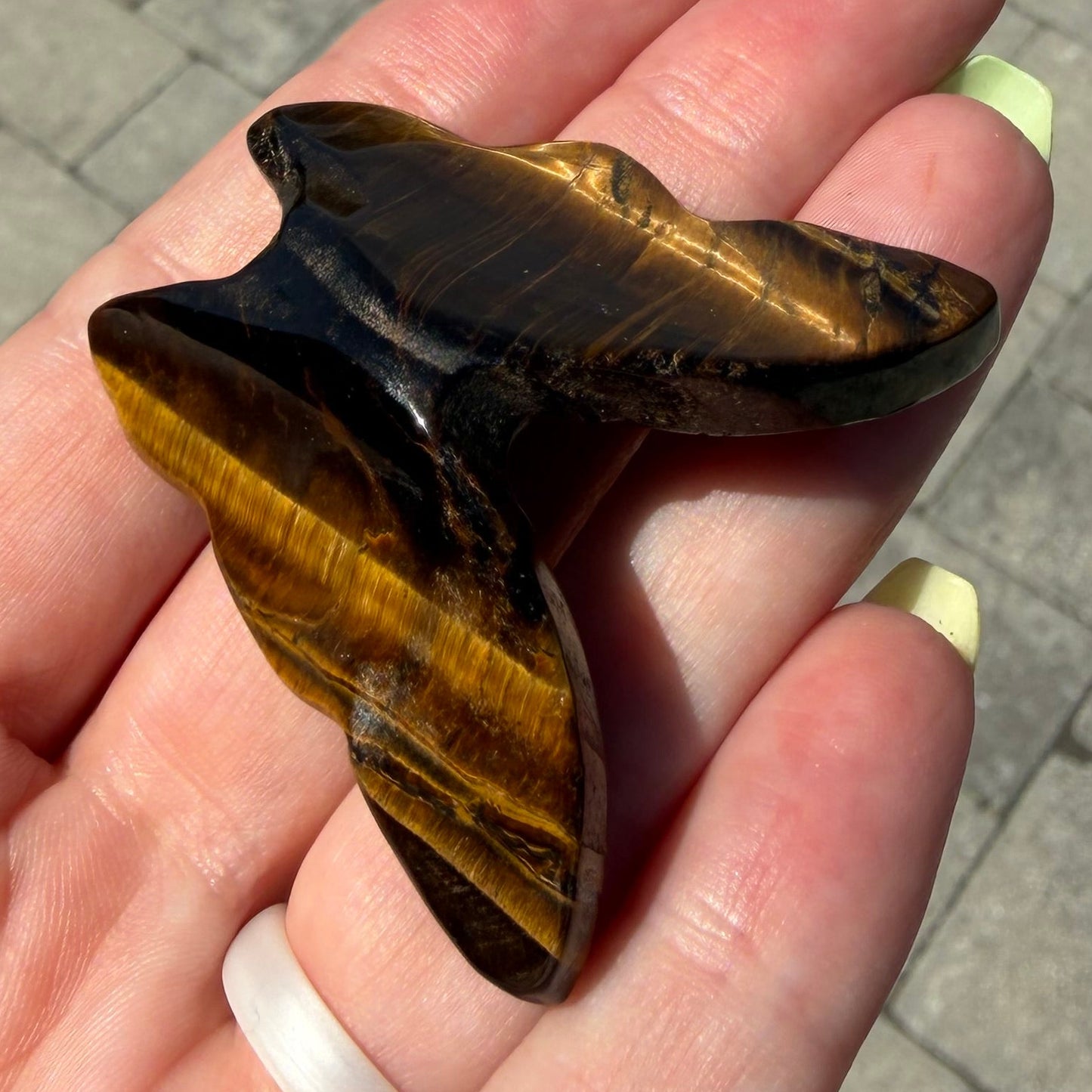 Golden Tiger’s Eye Butterfly Carving
