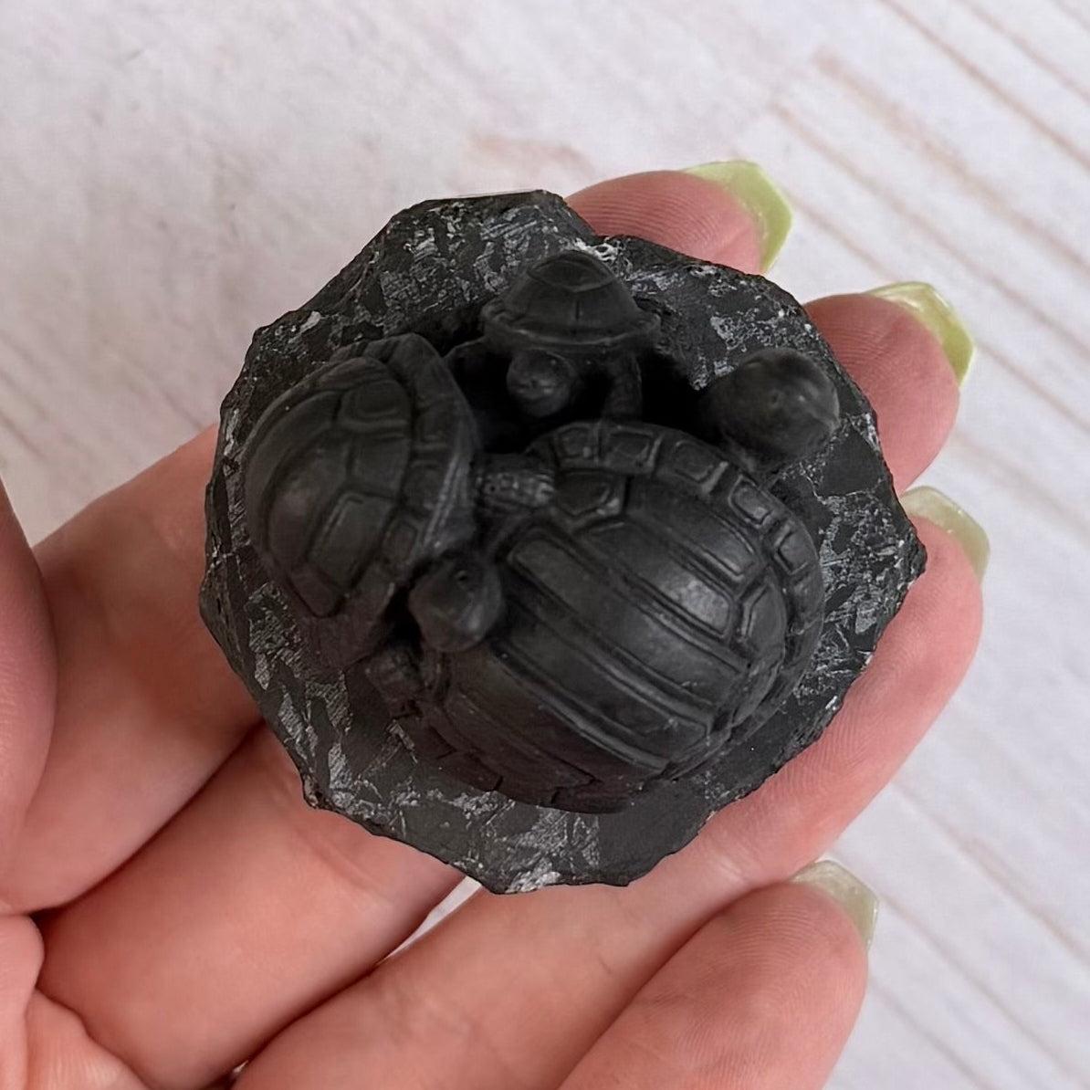 Karelian Shungite Turtle Family Carving - EMF Protection Statue