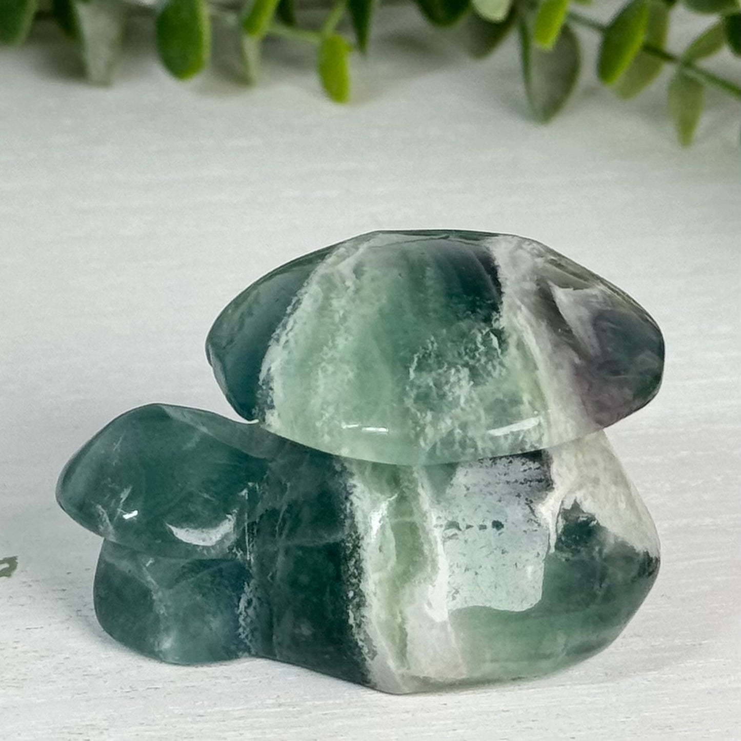 Fluorite Double Mushroom Carving E
