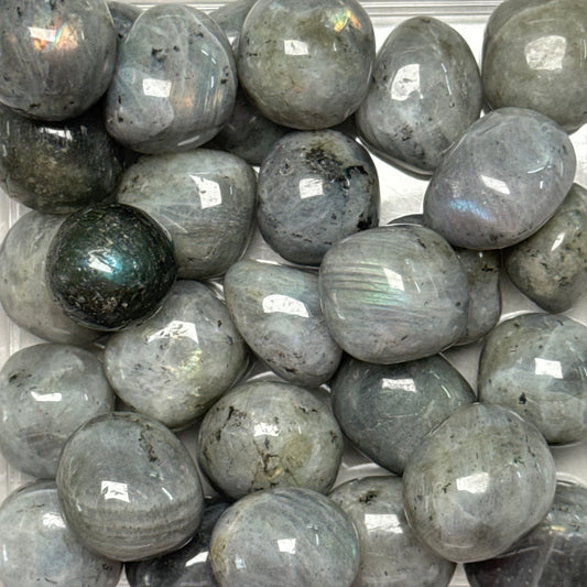 One (1) Common Quality Labradorite Tumble from Madagascar