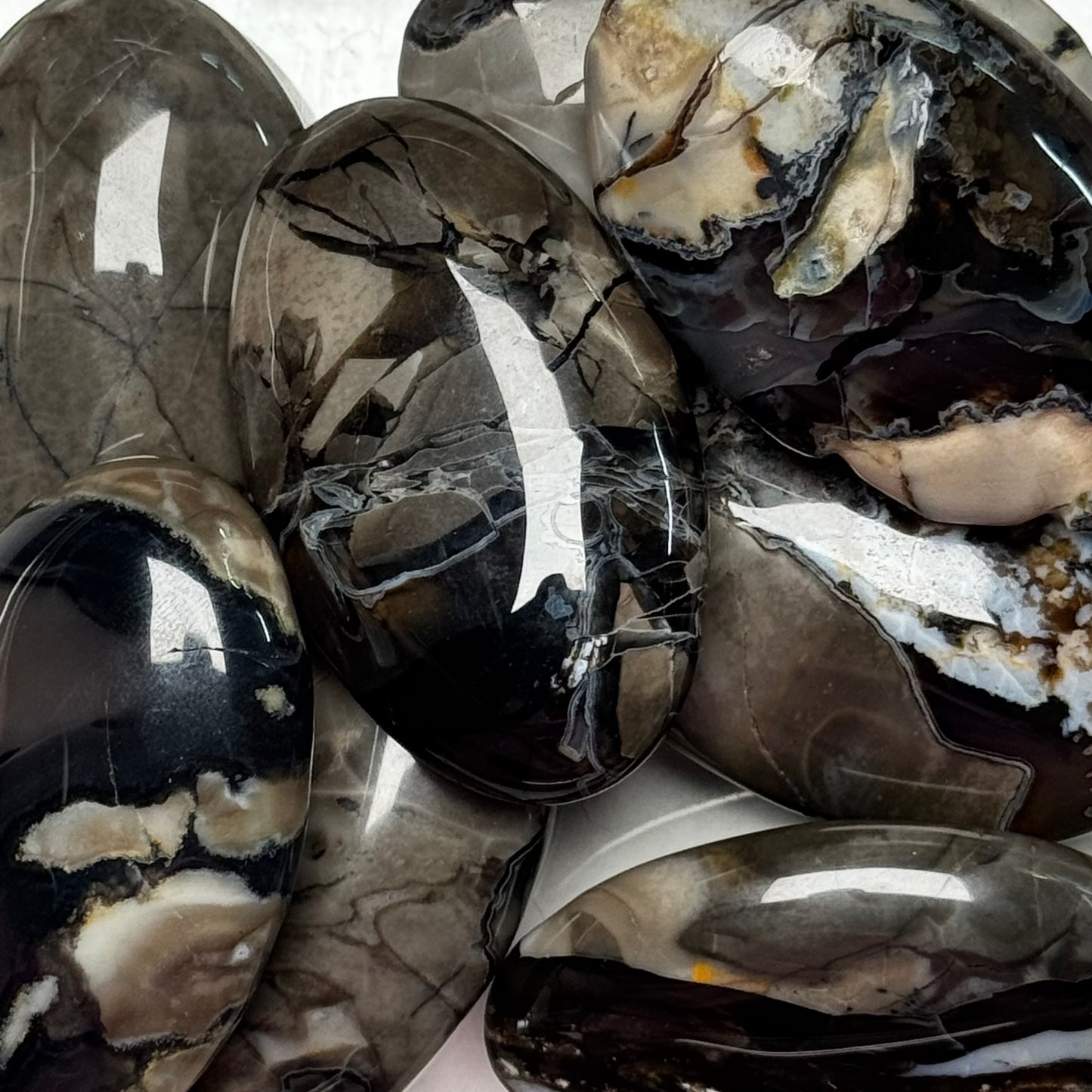 One (1) Volcanic Agate Palm Stone (UV Reactive)