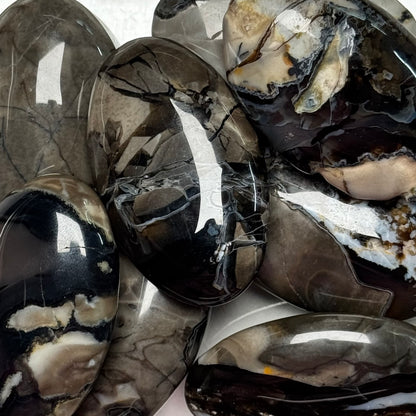 One (1) Volcanic Agate Palm Stone (UV Reactive)