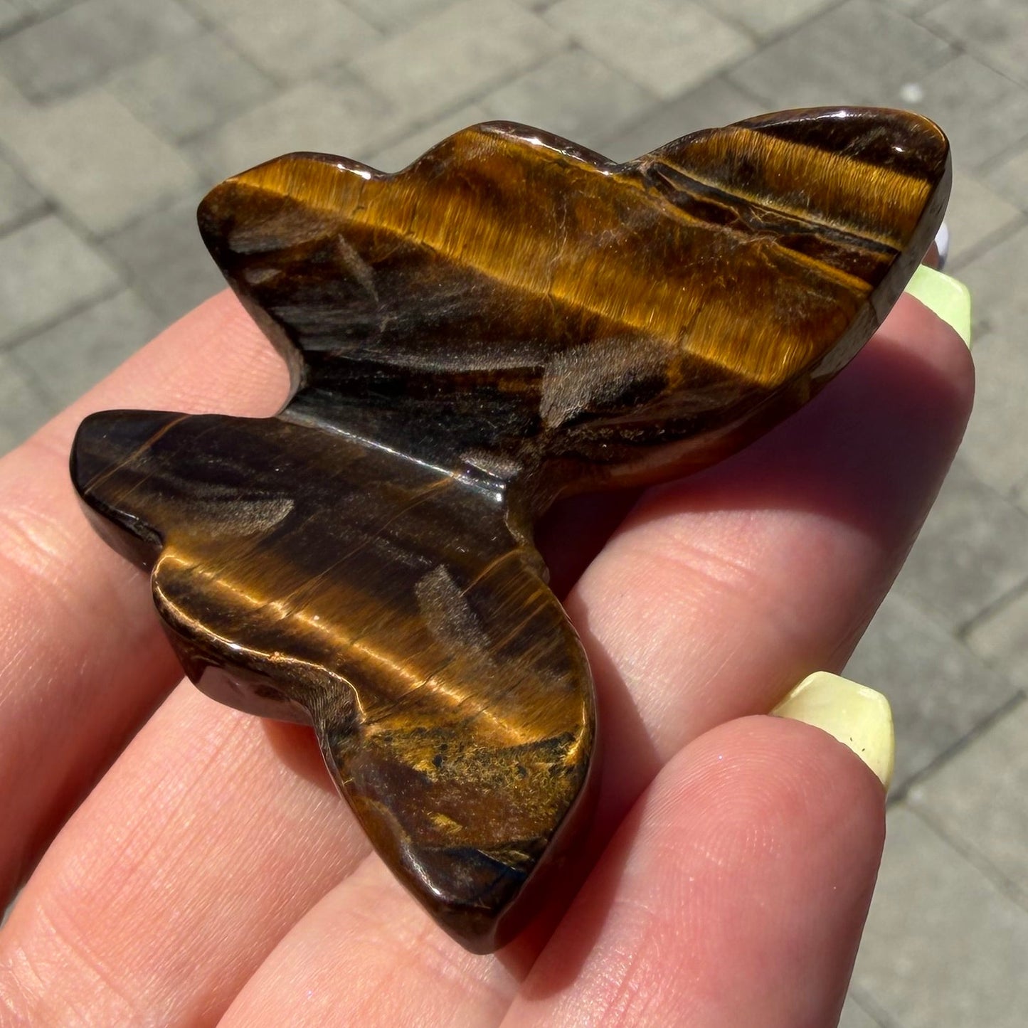 Golden Tiger’s Eye Butterfly Carving