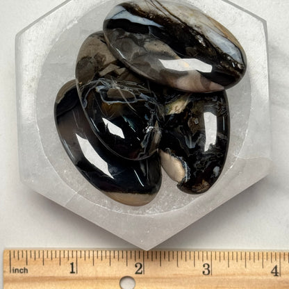 One (1) Volcanic Agate Palm Stone (UV Reactive)