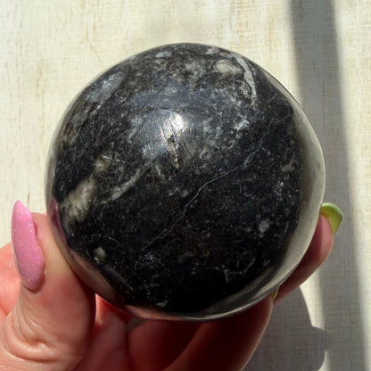 Orthoceras Nautiloid Fossil Sphere - Option B - Moroccan Cephalopod Matrix