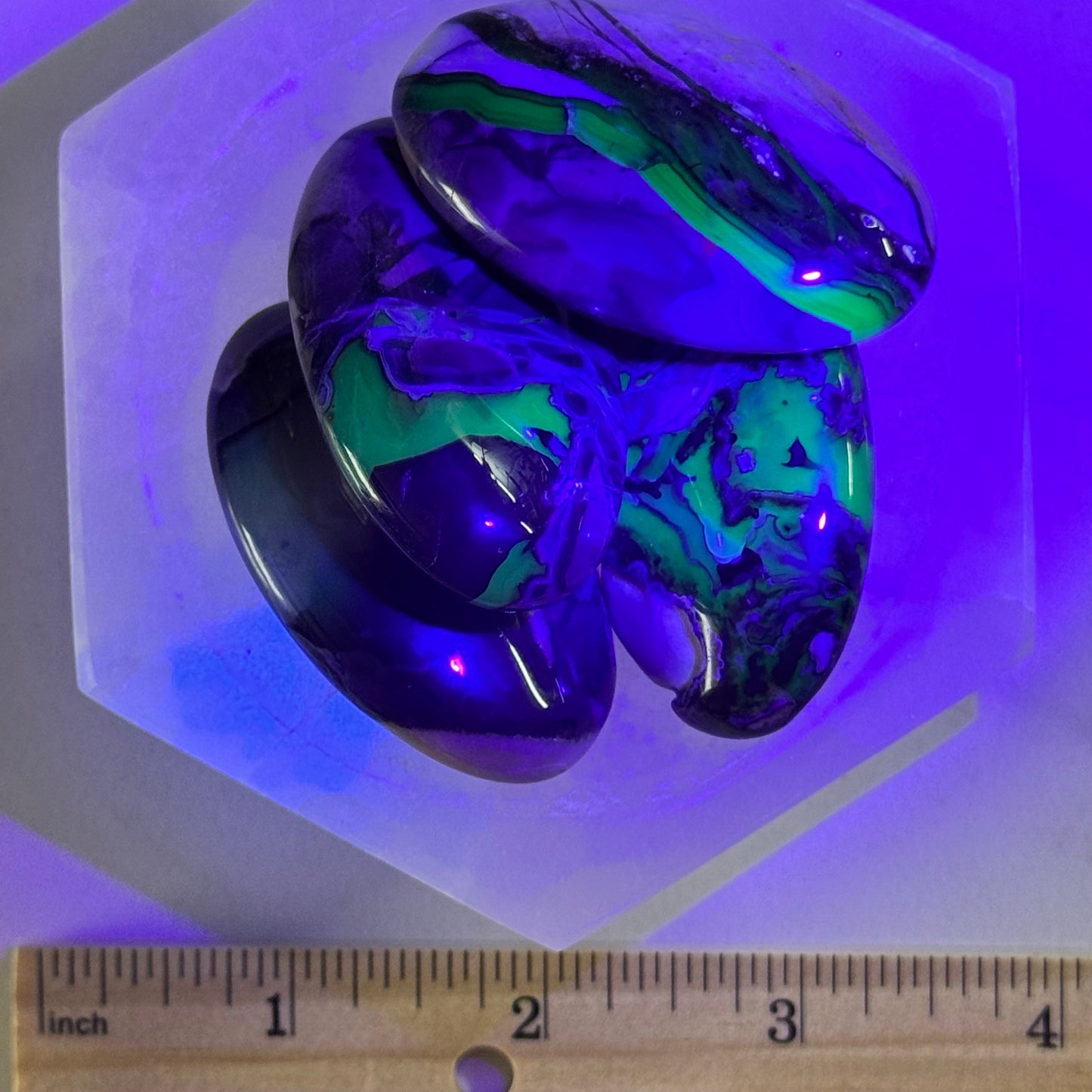One (1) Volcanic Agate Palm Stone (UV Reactive)