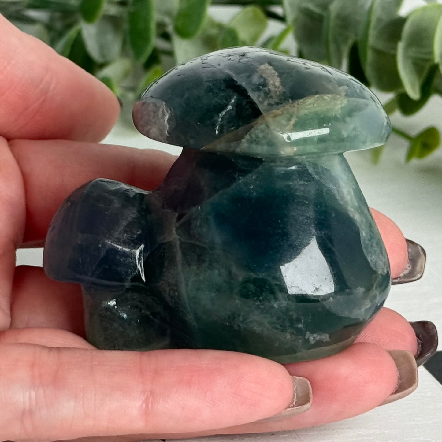 Fluorite Double Mushroom Carving D