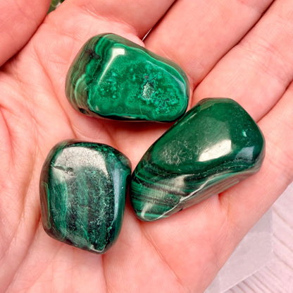 One (1) Beautiful Malachite Tumble