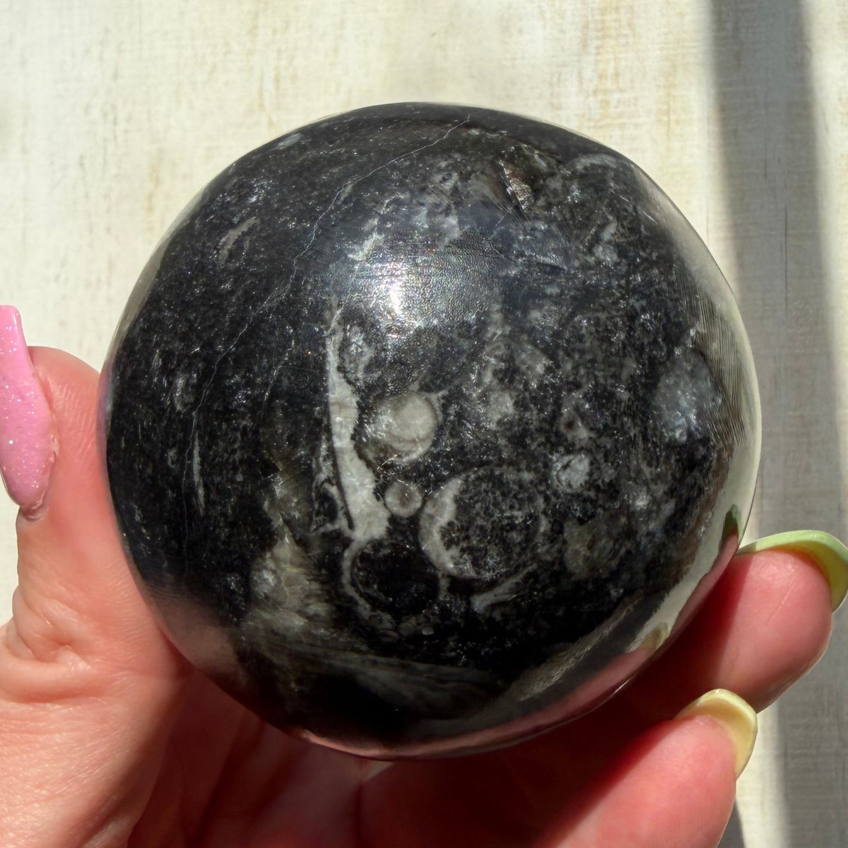 Orthoceras Nautiloid Fossil Sphere - Option B - Moroccan Cephalopod Matrix
