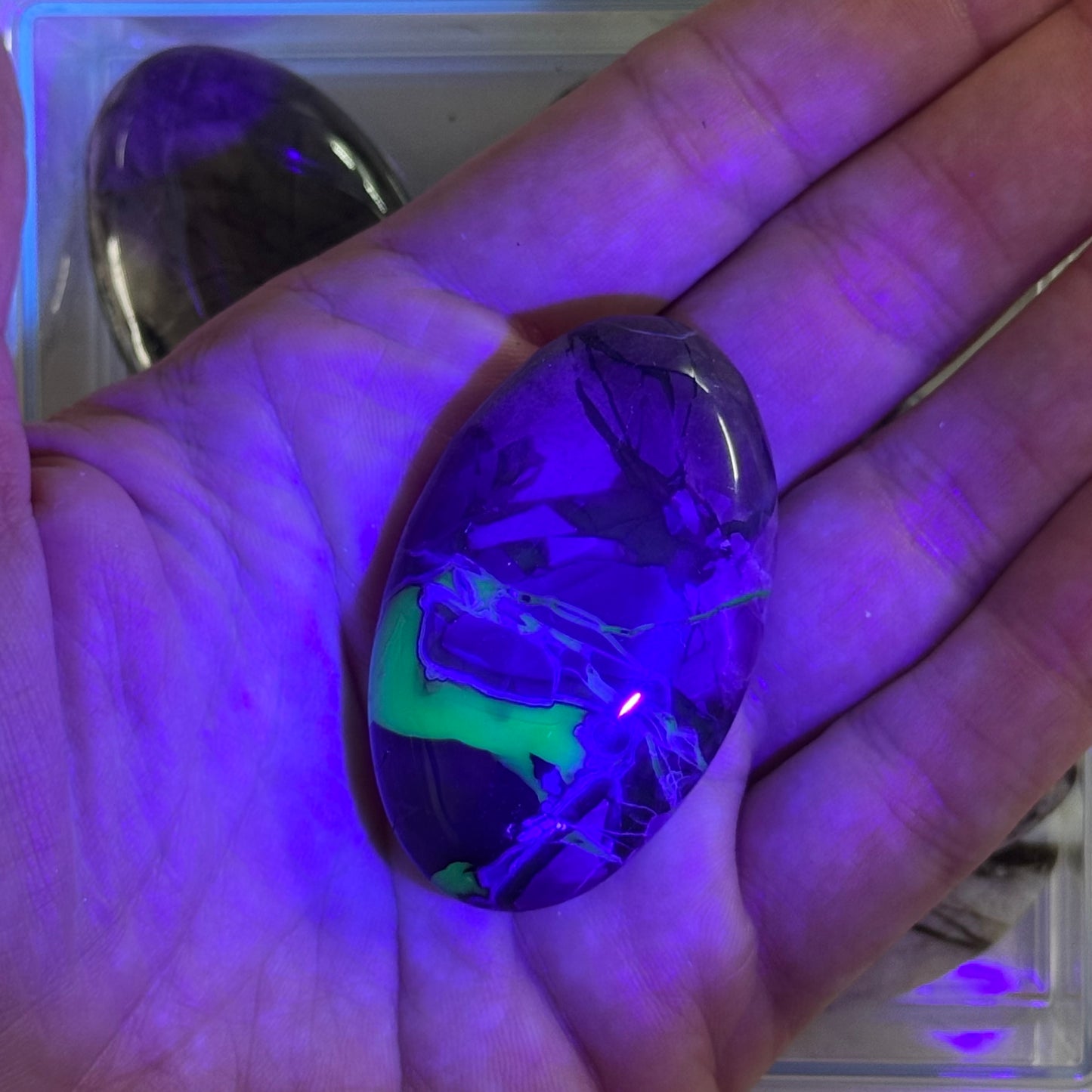 One (1) Volcanic Agate Palm Stone (UV Reactive)