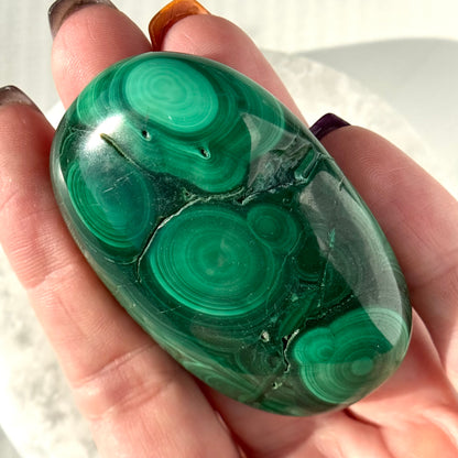 Malachite Palm Stone | Option D
