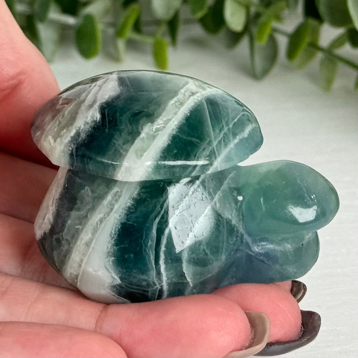 Fluorite Double Mushroom Carving E