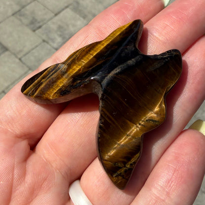 Golden Tiger’s Eye Butterfly Carving