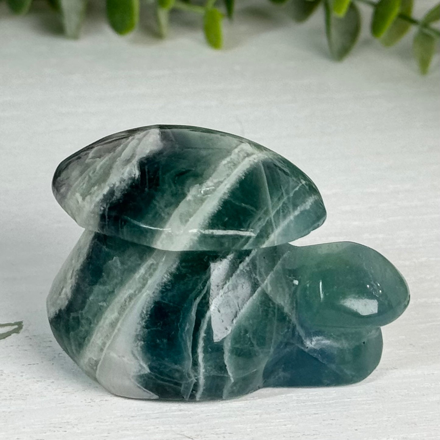 Fluorite Double Mushroom Carving E