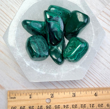 One (1) Beautiful Malachite Tumble