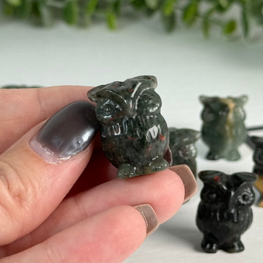Mini African Bloodstone Owl Carving